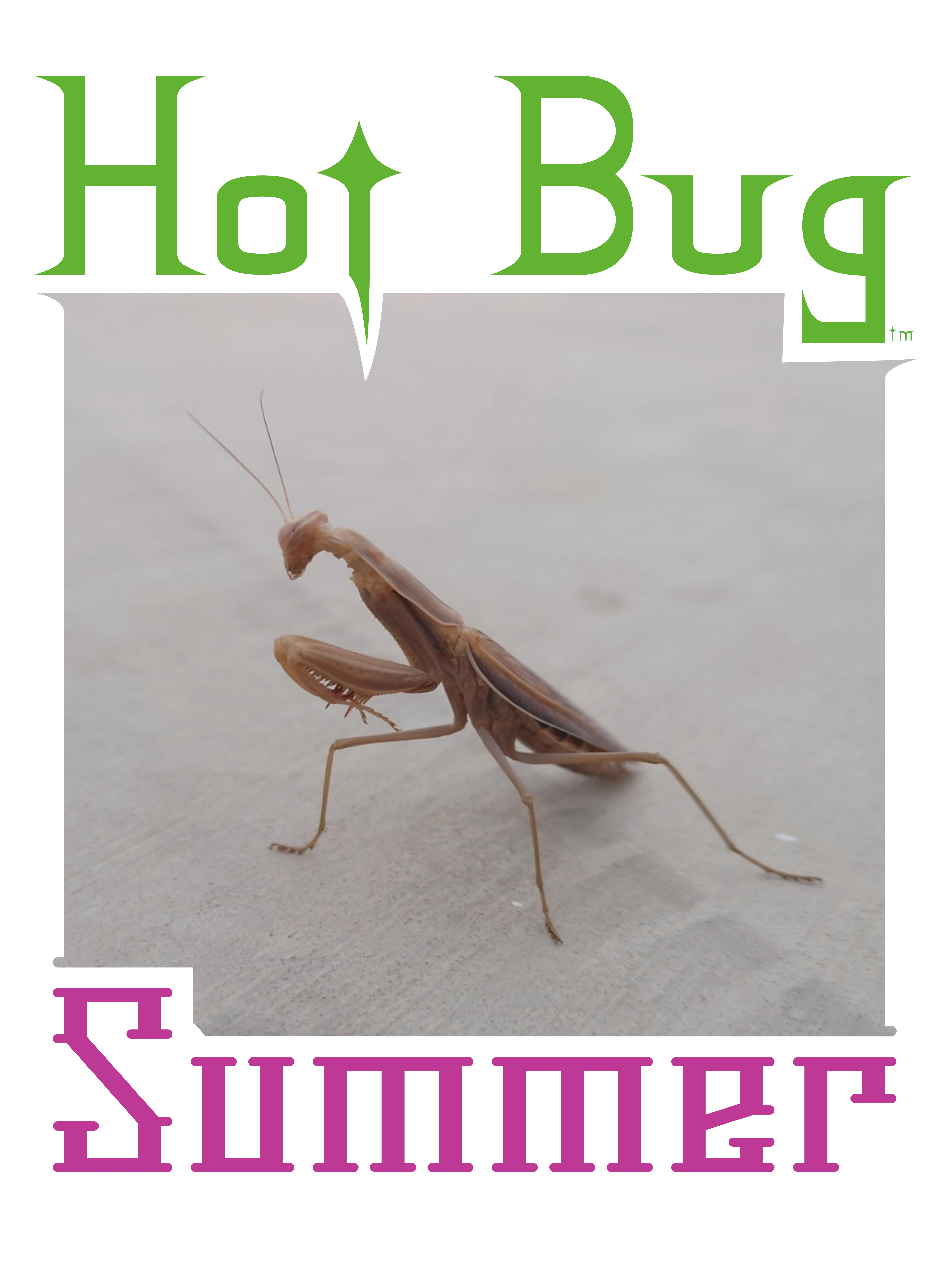 Hot Bug Summer logo featuring Serrano Tomatillo the mantis.