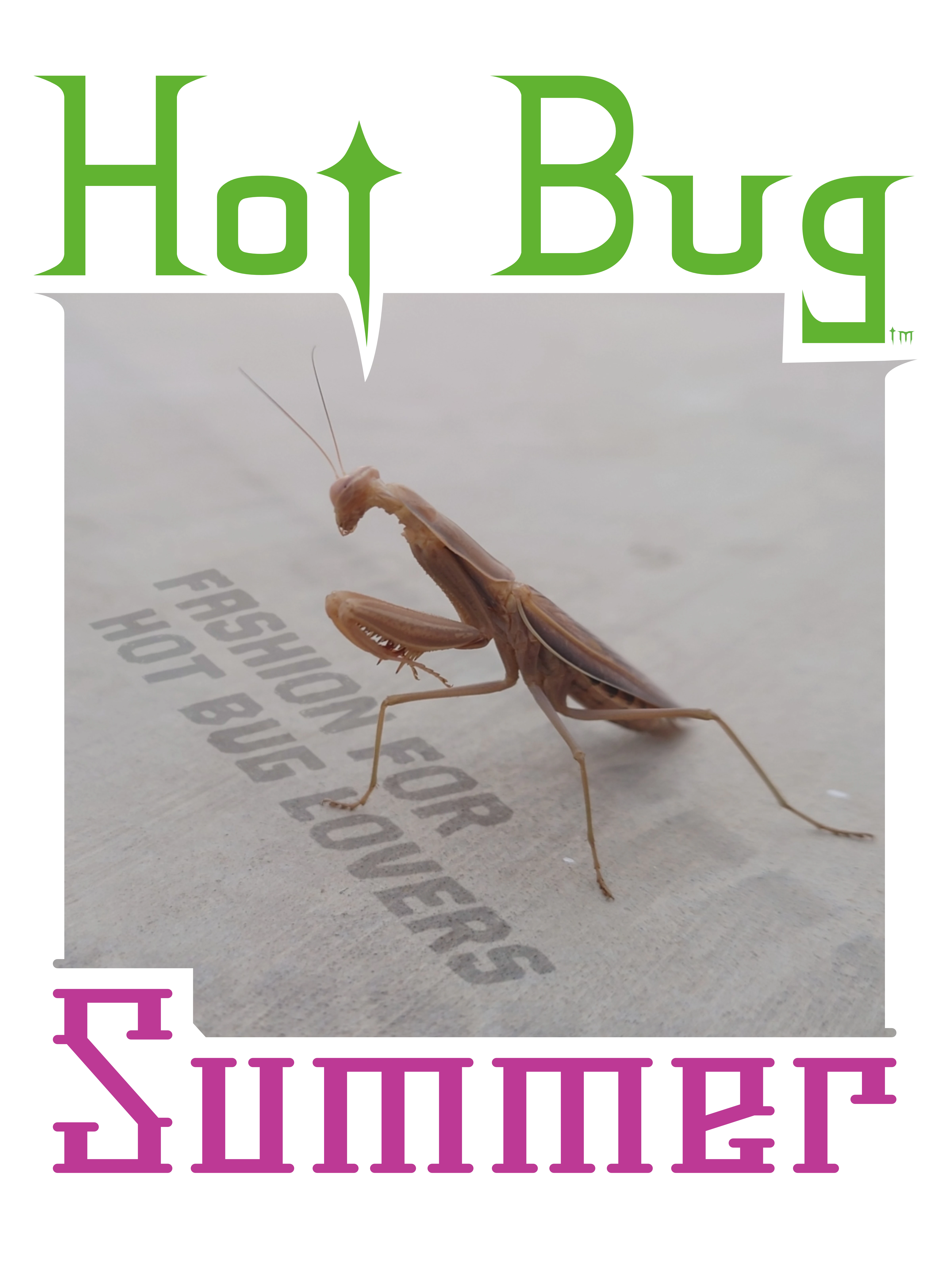Hot Bug Summer logo featuring Serrano Tomatillo the mantis.